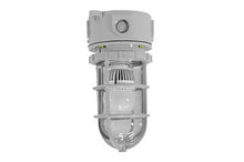 Load image into Gallery viewer, Class 1, Division 2 Groups A,B,C,D Chemical Resistant LED Light - 10 Watts - Non-Metallic - Corrosio(-High Voltage (110-277VAC)-Wall-5600K)
