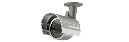DCB13TL Surveillance/Network Camera