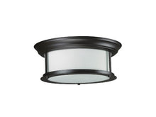Load image into Gallery viewer, The zLite 2 Light Ceiling Home Lighting Fixture
