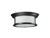 The zLite 2 Light Ceiling Home Lighting Fixture
