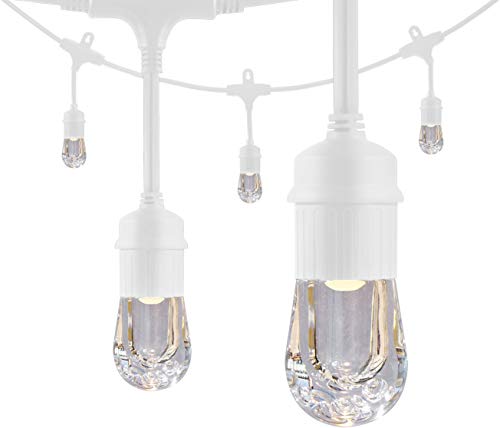 Enbrighten Classic LED Cafe String Lights, White, 48 Foot Length, 24 Impact Resistant Lifetime Bulbs, Premium, Shatterproof, Weatherproof, Indoor/Outdoor, Commercial Grade, Ul Listed, 35608