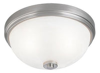 LumaPro 4UZK5 Fixture, Light, Brushed Ni, White Glass