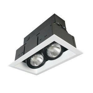 Eurofase TE132 2-Light PAR30 Multiple Recessed Light Fixture, White