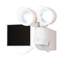 Load image into Gallery viewer, Solar Motion Light 2head
