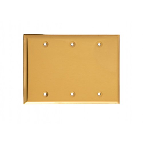 Switchplate Bright Solid Brass Triple Blank | Renovator's Supply