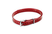 Load image into Gallery viewer, Garmin 010-11870-14 3/4-Inch Collar Strap Roller Bucklefor Delta Series Dog Device, Red
