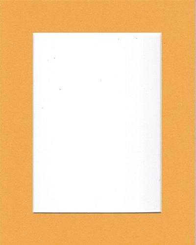 Pack of 10 11x14 Sun Yellow Picture Mats with White Core Bevel Cut for 8x10 Pictures