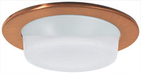 Elco Lighting EL916G 4 Shower Trim with Drop Opal Lens - EL916