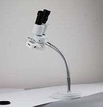 Load image into Gallery viewer, Dental Desk Lamp LED Binocular Microscope
