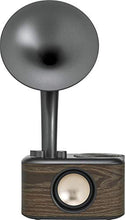 Load image into Gallery viewer, Sangean CP-100 AM / FM Retro Gramophone Radio with Bluetooth Speaker and Aux-Input
