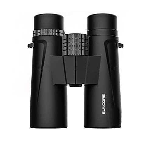 Binoculars High-Efficiency Compact Telescope Metal Material Fmc Coating, Suitable for Field Observation, Children's Gifts, Bird Watching, Watching Concerts. (Size : S10x42)