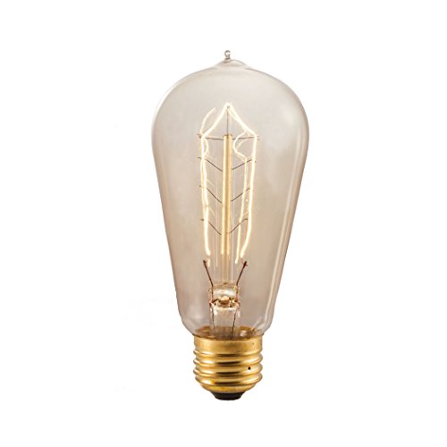 Nostalgic Edison 40W 120-Volt Incandescent Light Bulb I [Set of 3]