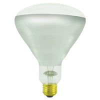 250W BR40 Incandescent Medium Base Bulb [Set of 2]