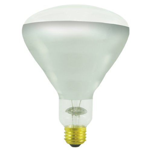 250W BR40 Incandescent Medium Base Bulb [Set of 2]
