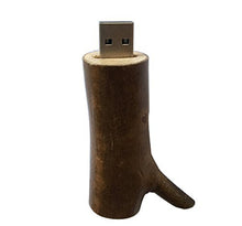 Load image into Gallery viewer, Branch Wood USB 2.0/3.0 USB Flash Drive USB Disk Memory Stick (32GB, 3.0)
