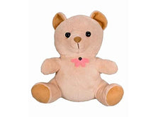 Load image into Gallery viewer, Xtreme LifeTM 720P Teddy Bear Hidden Camera w/Built in DVR HD
