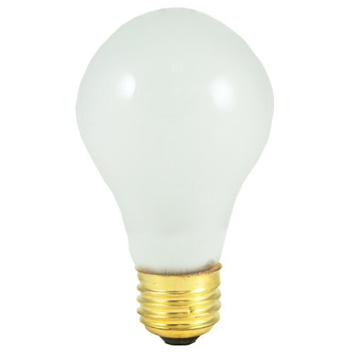 A19 Incandescent Bulb [Set of 8]