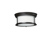 The zLite 2 Light Ceiling Home Lighting Fixture