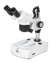 Load image into Gallery viewer, Motic 1100200800261, SFC-11C-N2GG Binocular Stereo Microscope, Base Stand with Pole and Head Holder, 20x-40X Magnification
