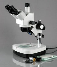 Load image into Gallery viewer, AmScope SH-2TZC-10M Digital Professional Trinocular Stereo Zoom Microscope, WF10x and WF20x Eyepieces, 10X-80X Magnification, 1X-4X Zoom Objective, Upper and Lower Halogen Lighting with Rheostat, 110V
