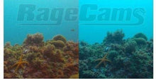 Load image into Gallery viewer, RED Dive Filter HD Underwater 4K Blue Color FIX for Sony FDR-x1000v AKA-DDX1-K
