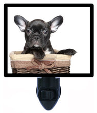 Load image into Gallery viewer, Dog Night Light, Black French Bulldog LED Night Light
