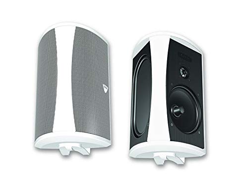 Definitive Technology AW 5500 Outdoor Speakers (Pair White) Bundle