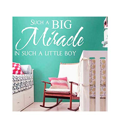 dailinming PVC Wall Stickers English Big Miracle Girl or boy Children's Room Home decorWallpaper30.5cm x 61cm-Red