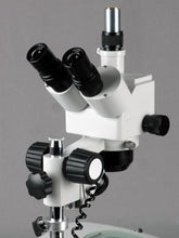 Load image into Gallery viewer, AmScope SH-2TZC-10M Digital Professional Trinocular Stereo Zoom Microscope, WF10x and WF20x Eyepieces, 10X-80X Magnification, 1X-4X Zoom Objective, Upper and Lower Halogen Lighting with Rheostat, 110V
