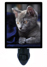 Load image into Gallery viewer, Cat Night Light, Lookin&#39; Pretty
