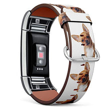 Load image into Gallery viewer, Replacement Leather Strap Printing Wristbands Compatible with Fitbit Charge 2 - Lovely Chihuahua Dog
