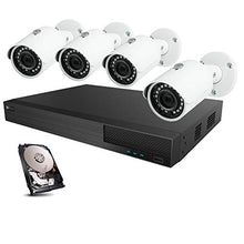 Load image into Gallery viewer, HDView Security Camera System: 12 Channel DVR NVR, with 1TB Hard Drive, HD Security Camera DVR Kit, Infrared Indoor Outdoor Camera Package
