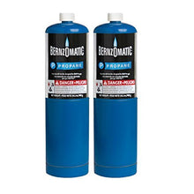 Load image into Gallery viewer, Gordon Glass Co. Standard Propane Fuel Cylinder - Pack of 2
