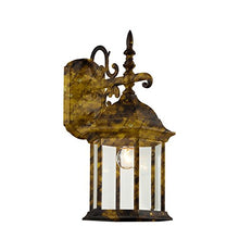 Load image into Gallery viewer, Trans Globe Imports 4353 BG One Light Wall Lantern from Josephine Collection
