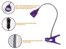 Load image into Gallery viewer, Newhouse Lighting 3-Watt Energy-Efficient LED Clamp Lamp, Purple
