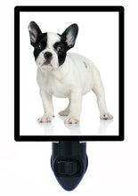 Load image into Gallery viewer, Dog Night Light, French Bulldog, White and Black
