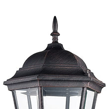 Load image into Gallery viewer, Trans Globe Imports 4250 RT Transitional One Light Wall Lantern from San Rafael Collection in Bronze / Dark Finish, 11.00 inches
