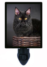 Load image into Gallery viewer, Cat Night Light, Black Maine Coon Cat LED Night Light
