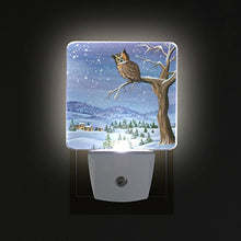 Load image into Gallery viewer, Naanle Set of 2 Winter Landscape Christmas Owl Tree Branch Snowflake Auto Sensor LED Dusk to Dawn Night Light Plug in Indoor for Adults
