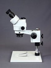 Load image into Gallery viewer, Vision Scientific Simul-Focal Trinocular Zoom Stereo Microscope,10x WF, 3.5x-90x Magnification,0.5x &amp; 2x Aux Lens, Pillar Stand- Large Base, LED Gooseneck Dual Light,11.6 Screen Display W/ 5MP Camera
