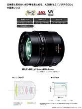 Load image into Gallery viewer, Panasonic Single Focus Medium Telephoto Lens for Micro Four Thirds Leica DG NOCTICRON 42.5mm/F1.2 ASPH./Power O.I.S. H-NS043
