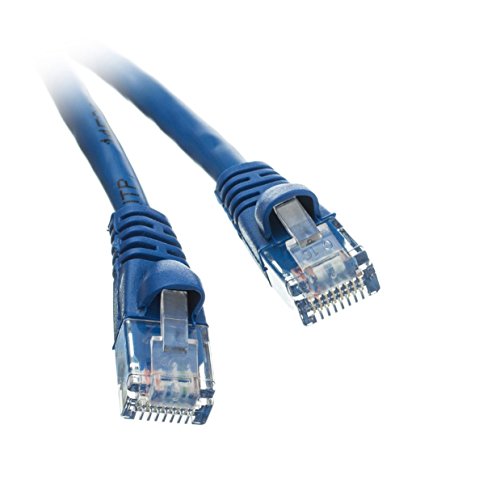 ACL 2 Feet RJ45 Snagless/Molded Boot Blue Cat6a Ethernet Lan Cable, 1 Pack