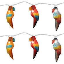 Load image into Gallery viewer, Brite Star 10 Count Parrot Light Set
