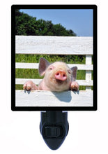 Load image into Gallery viewer, Pig Night Light, Babe, Piglet on a Fence, Country LED Night Light
