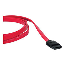 Load image into Gallery viewer, Tripp Lite 19&quot; Serial Ata Cable (p940-19i) -
