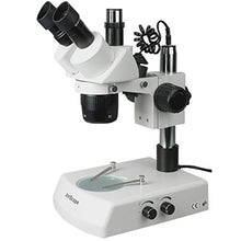 Load image into Gallery viewer, AmScope SW-2T13 Trinocular Stereo Microscope, WH10x Eyepieces, 10X and 30X Magnification, 1X/3X Objective, Upper and Lower Halogen Lighting, Pillar Stand, 110V-120V
