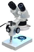 Load image into Gallery viewer, OMAX 20X-40X Digital Binocular Stereo Microscope with 8W Fluorescent Ring Light and USB Digital Camera
