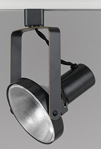 Cal Lighting HT-203-BS 120V,PAR38,90W MAX, Brushed Steel