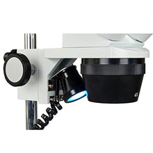 Load image into Gallery viewer, OMAX 20X-40X-80X Cordless Stereo Binocular Microscope with Dual LED Lights and 1.3MP Camera
