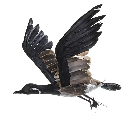 Factory Direct Craft Flying Feathered Artificial Canadian Goose with Wired Feet for Indoor Displaying